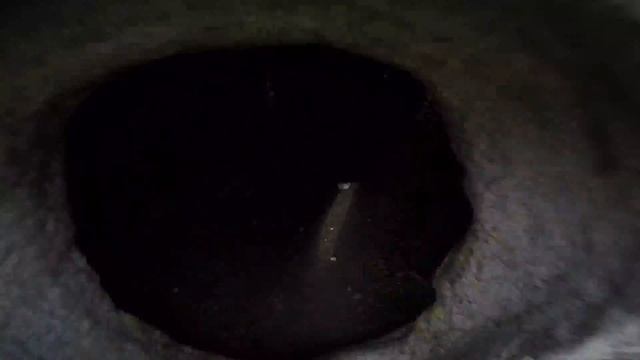 THE Morval with a GO PRO 4 - AMAZING : Fishing, Hunting and Mountain Biking (Parody) смотреть онлайн