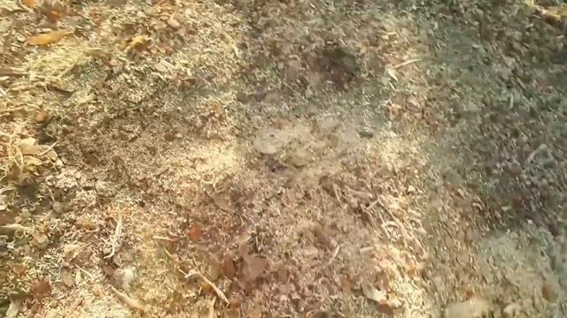 VLOG 336 Новый дом для гусей - времянка? смотреть онлайн