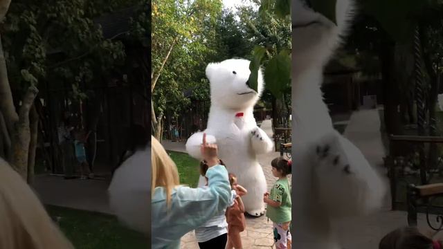 Поздравления Белого Мишки на базе отдыха🧸🥳 смотреть онлайн