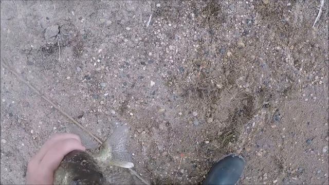 Часть 3. Улетная рыбалка на выходных. Около 100 кг карпа - дожди, солнце, ветер и много карпа смотреть онлайн