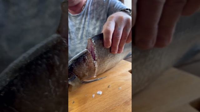 ТОТ СЛУЧАЙ, КОГДА ВСЕ В ИЗЮМИНКУ ? ДОНСКОЙ ЛЕЩ #рыбасикрой #доставка #рыбец64 смотреть онлайн