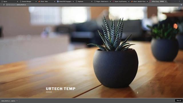 Easily Migrate Your SMALL or Medium WordPress Site To A New Host Using All In One WP Migrations смотреть онлайн