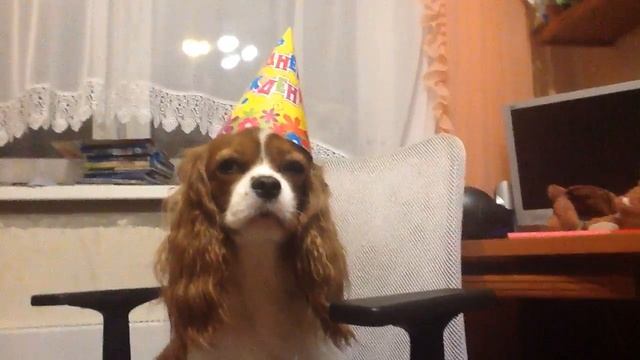 с наступающим и прошедшим днем рождения всех смотреть онлайн