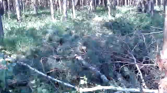 MOV03236 смотреть онлайн