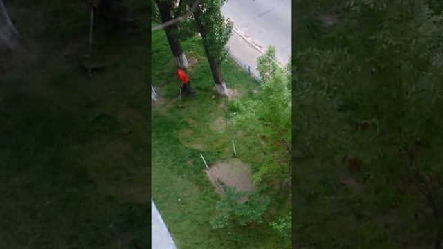 Газонокосильщик смотреть онлайн