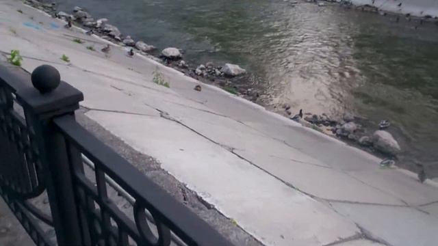 11.06.15 г. Алина катается на роликах по набережной Качи. смотреть онлайн