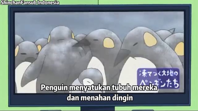 Shinchan Sub Indonesia || Hari ini dingin смотреть онлайн