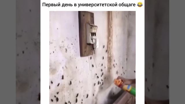 Смешные видео приколы .mp4 смотреть онлайн