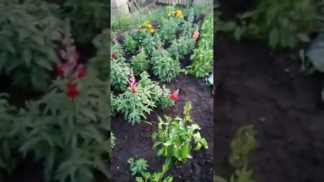 21 июля 2022 г. (1).mp4 смотреть онлайн