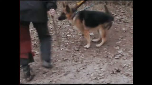 Архив - Часть 1 смотреть онлайн