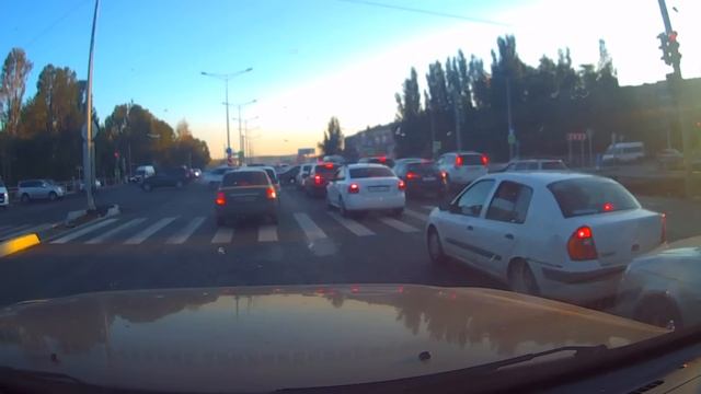 Как Они так делают? Осенние Торопыги и Водятлы смотреть онлайн