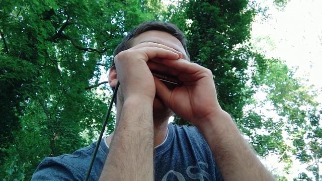 Вечером на лавочке ♫ на губной гармошке смотреть онлайн