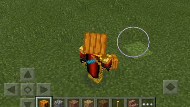 How to put a pumpkin head on in minecraft смотреть онлайн