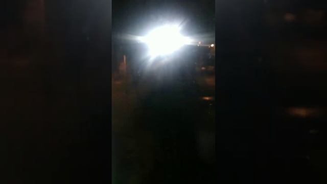 Томаты рассада. Что замедляет рост томатов? смотреть онлайн