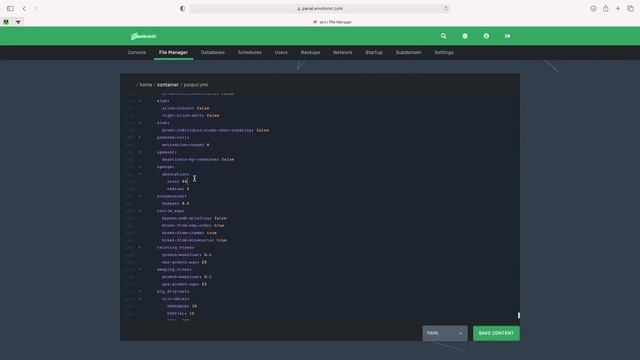 Basic Purpur Server setup (don't use unless you have too) смотреть онлайн