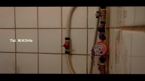 Spread Wings - Освободит Меня (Lyric Video)