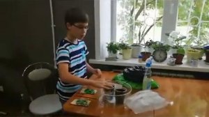 Сажаю огурцы « Кураж» и « Щедрик»!?