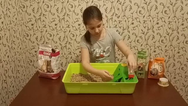 Декоративная крыса | Домашняя крыса | Уход и кормление смотреть онлайн