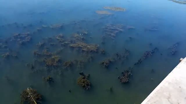На речке "Кальчик " развелось очень много змей смотреть онлайн