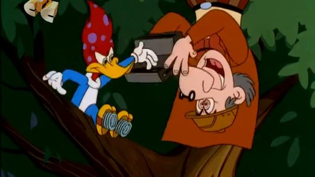 Дятел Вуди / Woody Woodpecker — Woody Watcher