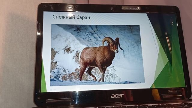 Таймырский заповедник ?✌ смотреть онлайн