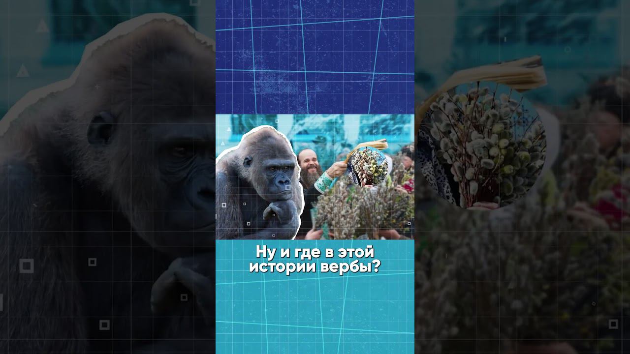 Зачем Христиане используют Вербы? смотреть онлайн