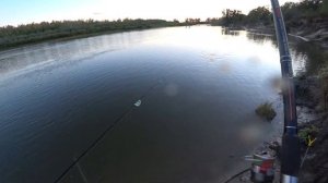 Рыбалка на Хопре Волгоградской обл. 1и2день с ночевкой