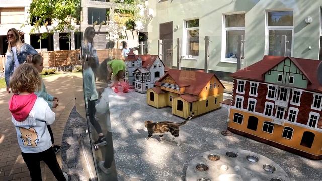 ЗЕЛЕНОГРАДСК Катаемся на электричке Калининград Зеленоградск смотреть онлайн