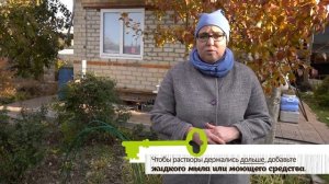 ИСКОРЕНЯЮЩАЯ ОБРАБОТКА САДА ОСЕНЬЮ. Сроки и препараты