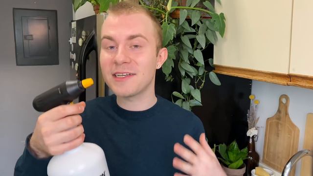 Air Plant (Tillandsia) Care + Watering Tips смотреть онлайн