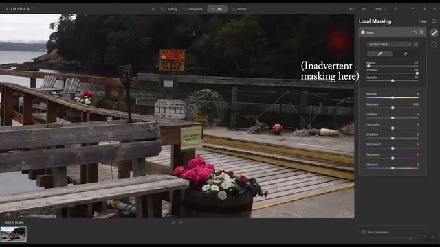 Masking in Luminar AI смотреть онлайн