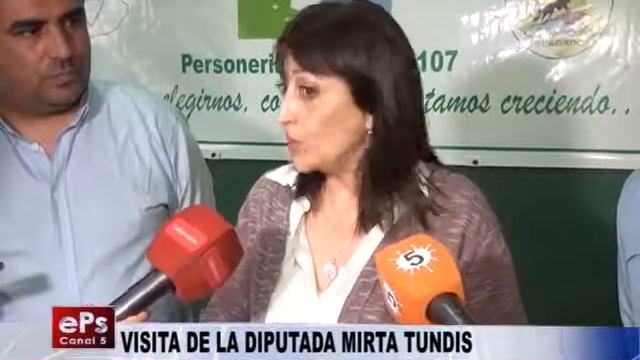 VISITA DE LA DIPUTADA MIRTA TUNDIS PARTE 2 смотреть онлайн
