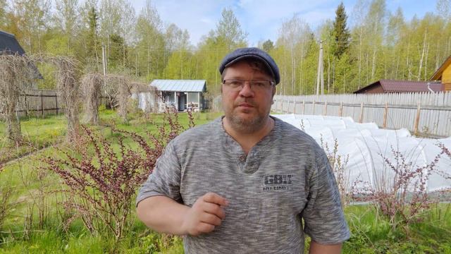 10 мая. Превью первого большого видоса про теплицу в начале мая. смотреть онлайн