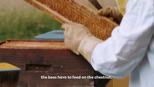 Stories - All hail the queen смотреть онлайн