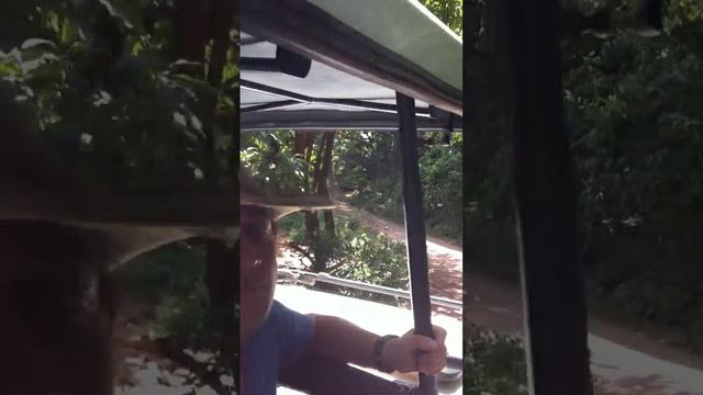 Kilimanjaro 010 Национальный парк Маньяра 1, Начало смотреть онлайн
