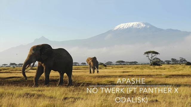 Apashe - (No Twerk ft. Panther x Odalisk) смотреть онлайн
