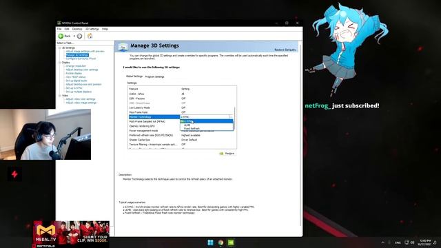 TenZ NVIDIA Settings