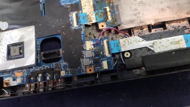 Ноутбук в котором жили тараканы смотреть онлайн