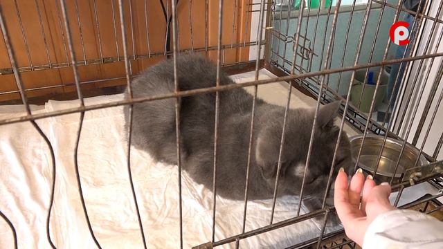 Доброе сердце 19.03.2021