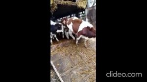 Инвестиции в сельское хозяйство в Крыму