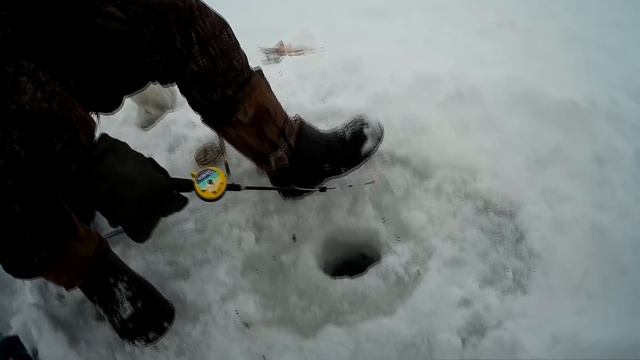 подлещик на черта зимой, Туймазинское водохранилище,03.02.19 смотреть онлайн