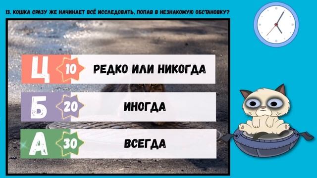 Как узнать характер кошки? ? Прикольный тест с котом Тимкой смотреть онлайн