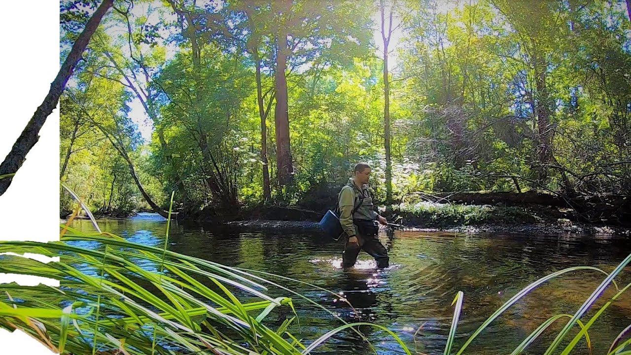 За Хариусом к Тиграм и Медведям. Рыбалка в Сентябре смотреть онлайн