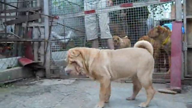 Ольгина Мечта Песня О Главном 2 часть смотреть онлайн