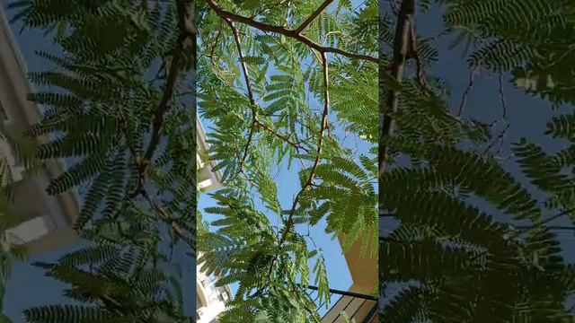 16 июля 2021 г. смотреть онлайн