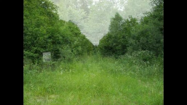 Путешествие на мопеде Alpha 110