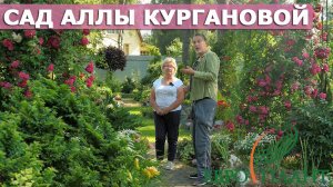 Прогулка по саду в Ленобласти гортензии, хвойные, 400 сортов хост и много других интересных растений