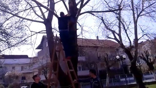 Поставување на куќички по повод ден на пролета смотреть онлайн