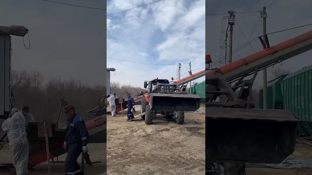 Как грузят вагоны зерном в Тольятти!
