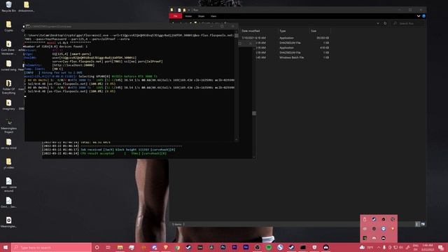 What is Flux Coin and How to Mine it? | Shitcoin Mining Adventure смотреть онлайн